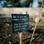 Garden Supports for Plants: 7 Proven Ways to Avoid Wobbly, Broken, or Ugly Stems