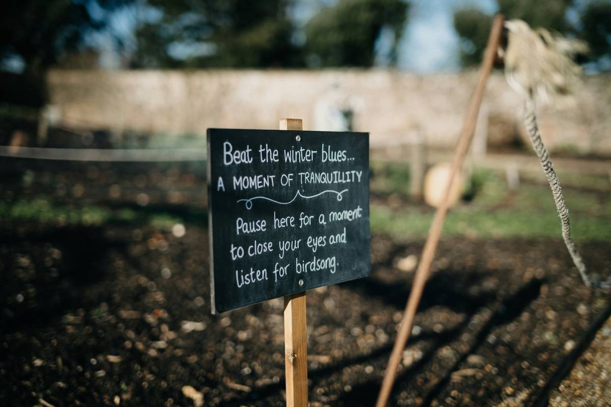 Garden Supports for Plants: 7 Proven Ways to Avoid Wobbly, Broken, or Ugly Stems